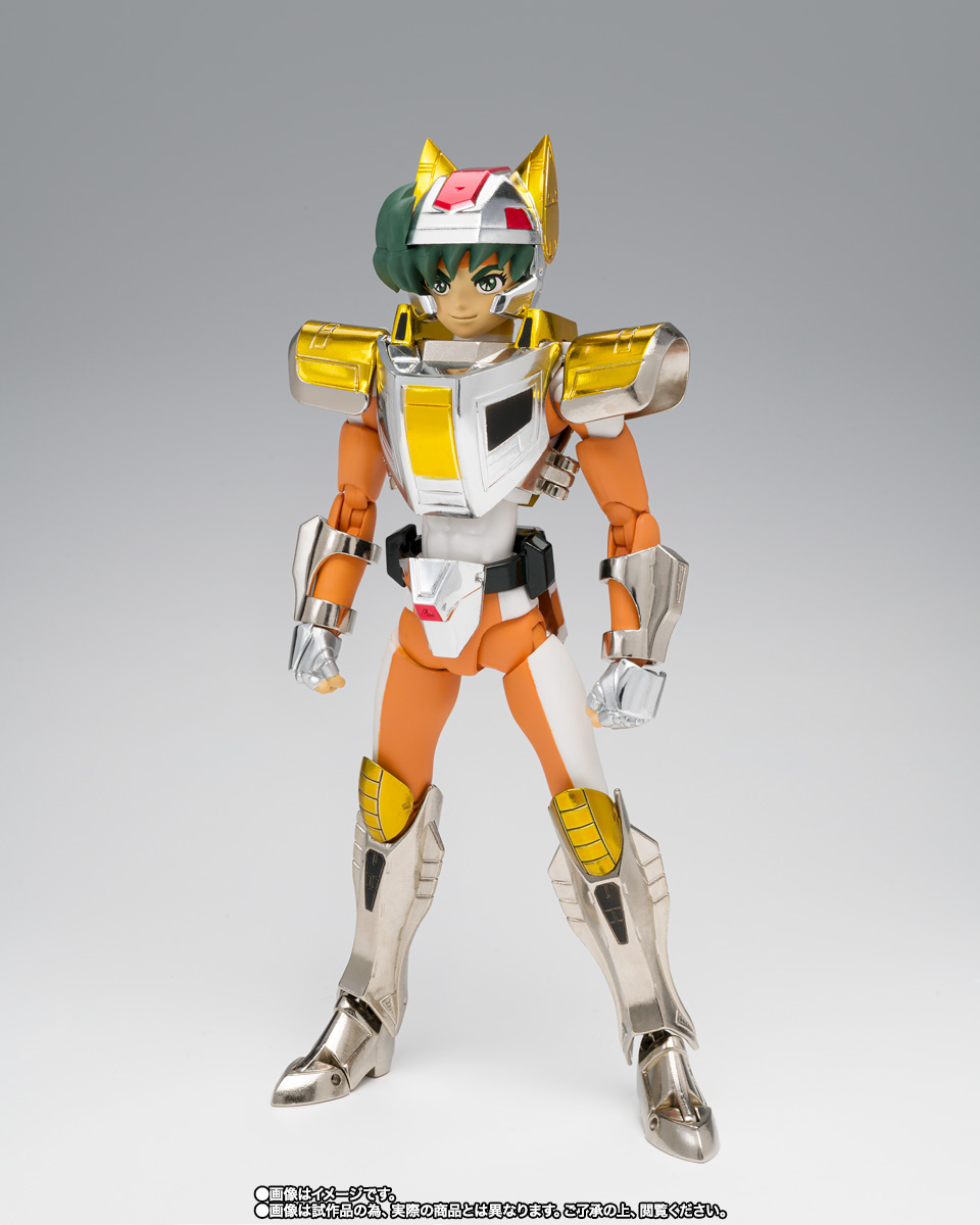 Daichi (Land Steel Cloth)