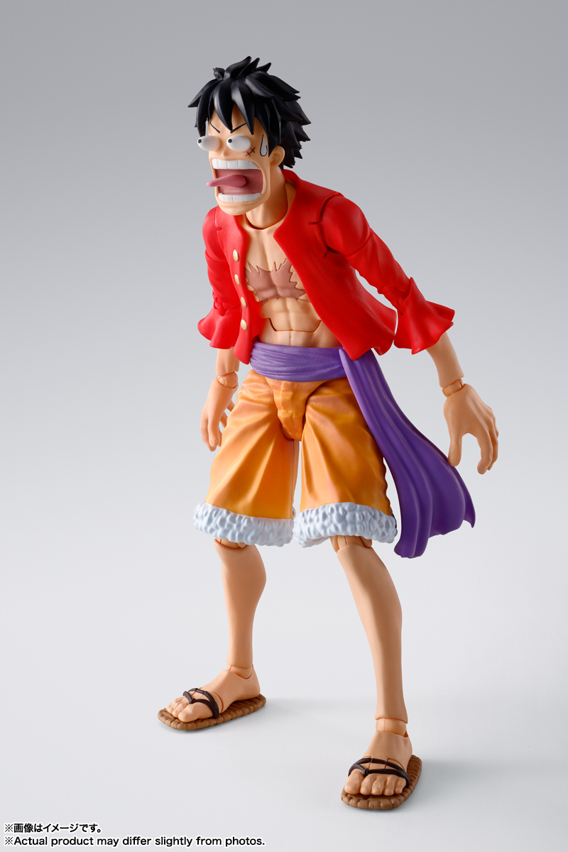 Monkey D. Luffy (The Raid on Onigashima)