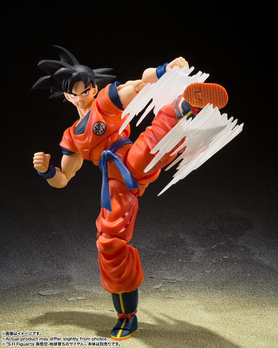 Son Goku — Effect Parts Set (Tamashii Web)