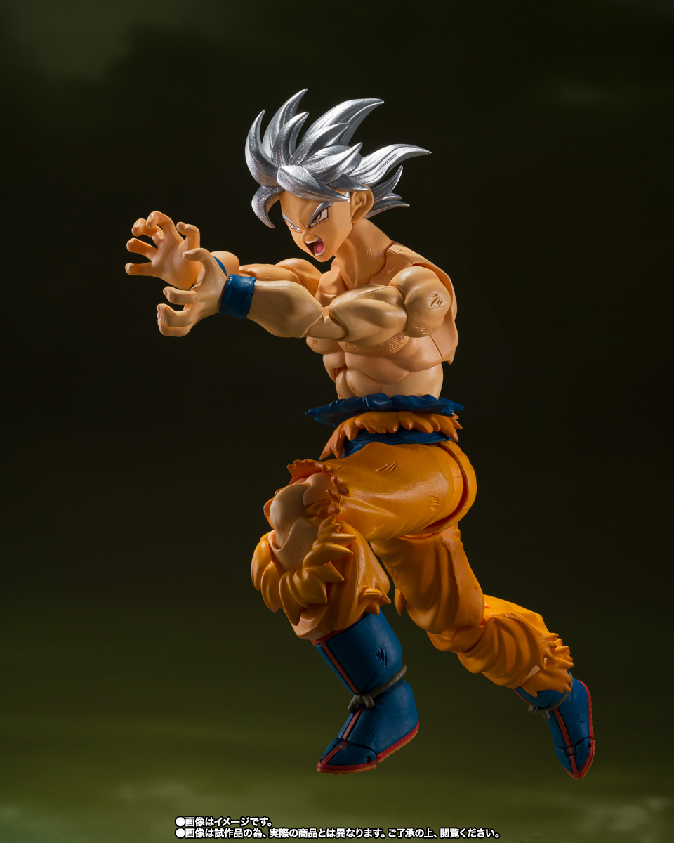 Son Goku Ultra Instinct (Toyotaro Edition)