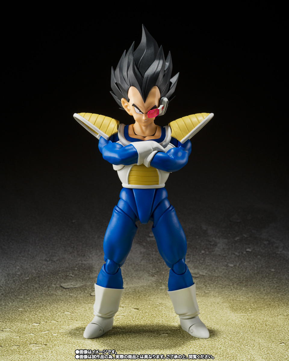 Vegeta (Combat Power of 24,000)