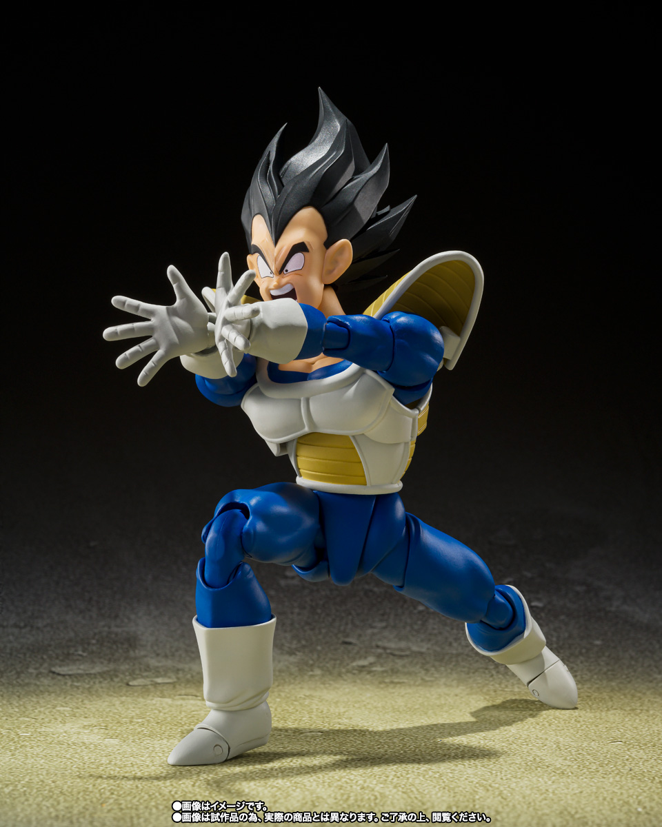 Vegeta (Combat Power of 24,000)