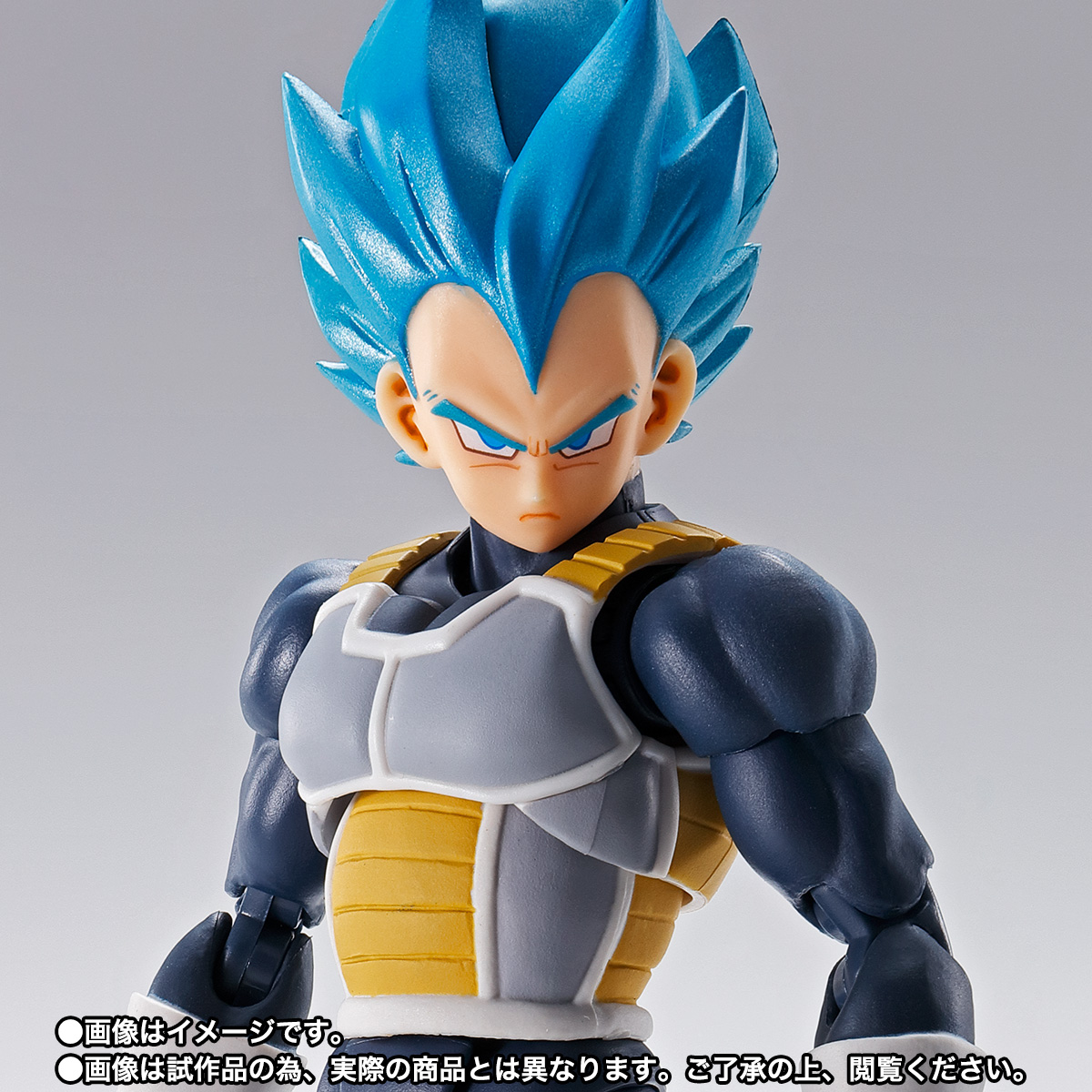 Super Saiyan God Super Saiyan Vegeta (15th Anniversary)